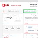 Everywhere is like home - a service from MTS for mobile people
